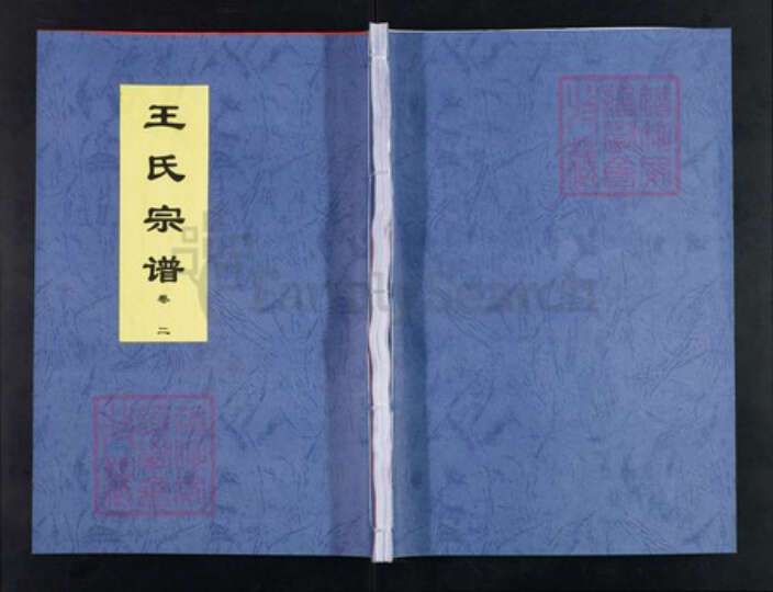 安徽省合肥市王氏三槐堂族谱-王氏宗谱.pdf电子版缩略图