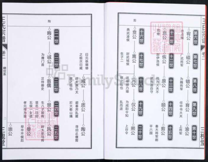 安徽省合肥市王氏三槐堂族谱-王氏宗谱.pdf电子版预览图2