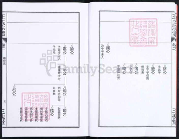 安徽省合肥市王氏三槐堂族谱-王氏宗谱.pdf电子版预览图5