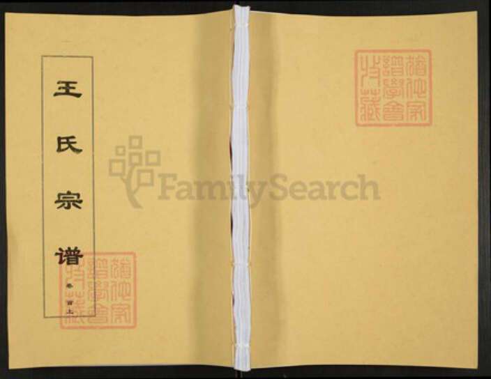 安徽省安庆市太湖县弥陀镇王氏敦伦堂族谱-王氏宗谱.pdf电子版缩略图