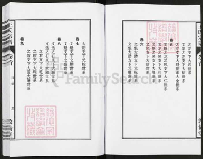 安徽省安庆市太湖县弥陀镇王氏敦伦堂族谱-王氏宗谱.pdf电子版预览图5