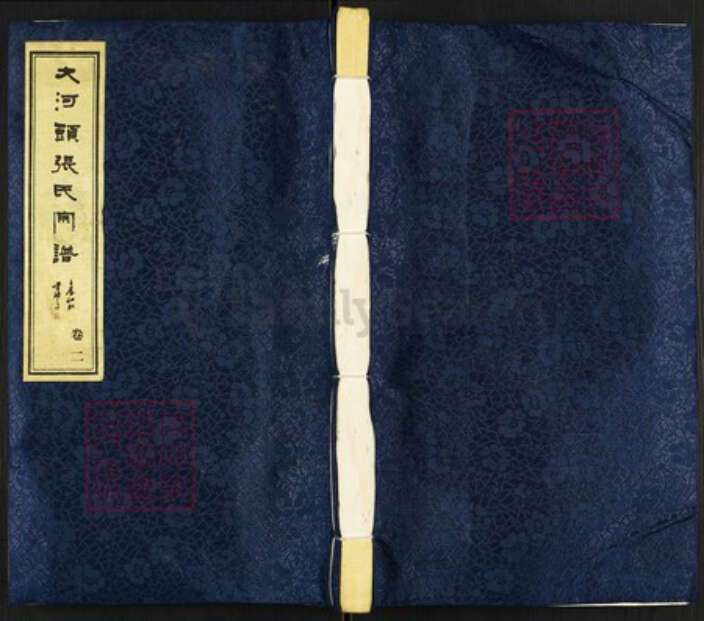 江苏省常州市武进县张氏族谱-大河头张氏宗谱.pdf电子版缩略图