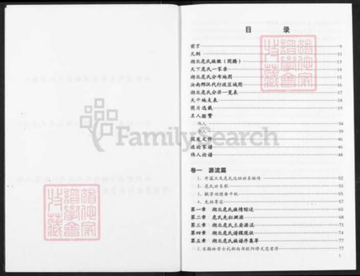 湖北省危氏族谱-湖北危氏通考.pdf电子版预览图2