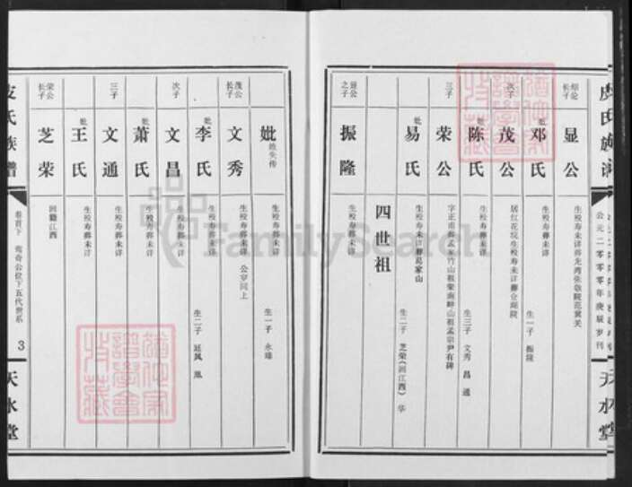 湖北省潜江市龙湾镇皮氏天水堂族谱-皮市族谱.pdf电子版预览图3