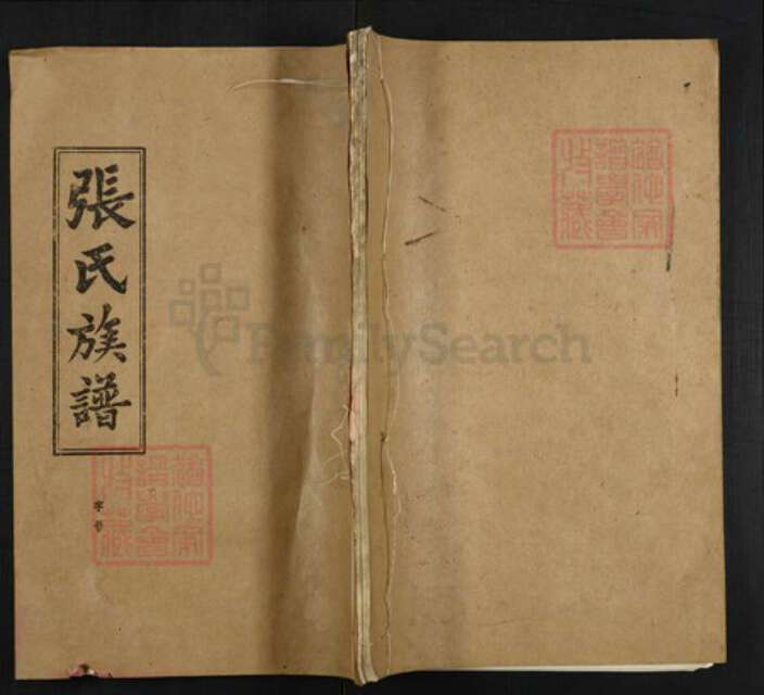 湖北省荆州市监利县张氏族谱-张氏族谱.pdf电子版缩略图