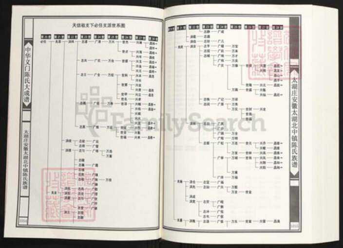 安徽省安庆市太湖县陈氏族谱-中华义门陈氏大成谱大湖庄安徽太湖北中镇陈氏族谱.pdf电子版预览图2