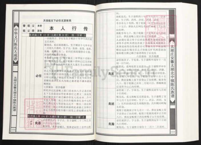 安徽省安庆市太湖县陈氏族谱-中华义门陈氏大成谱大湖庄安徽太湖北中镇陈氏族谱.pdf电子版预览图4