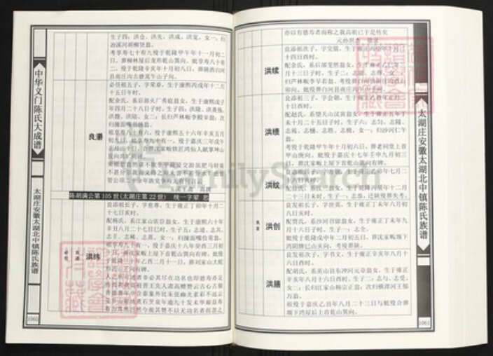 安徽省安庆市太湖县陈氏族谱-中华义门陈氏大成谱大湖庄安徽太湖北中镇陈氏族谱.pdf电子版预览图5