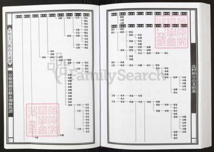 江西省九江市陈氏族谱-中华义门陈氏大成谱分宁黄源庄修水联修族谱.pdf电子版预览图3