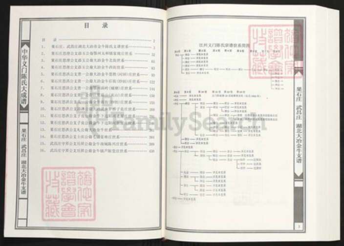 湖北省黄石市大冶市陈氏族谱-中华义门陈氏大成谱果石庄 武昌庄 湖北大冶金牛支谱.pdf电子版预览图2