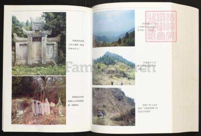 湖南省张家界桑植县陈氏族谱-桑植陈氏族谱.pdf电子版预览图4