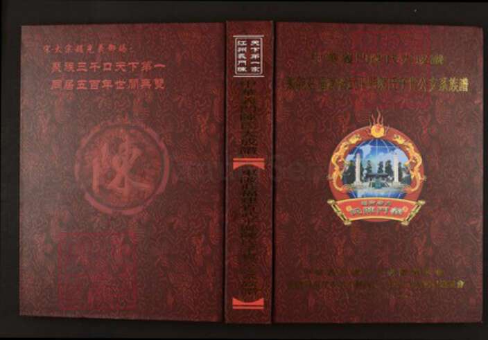 福建省龙岩市武平县陈氏族谱-中华义门陈氏大成谱东陂庄福建省武平县陈氏子贵公支系族谱.pdf电子版缩略图