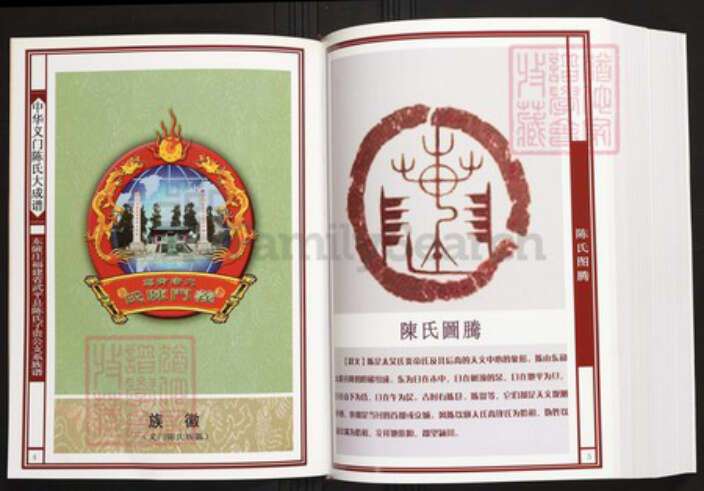 福建省龙岩市武平县陈氏族谱-中华义门陈氏大成谱东陂庄福建省武平县陈氏子贵公支系族谱.pdf电子版预览图3