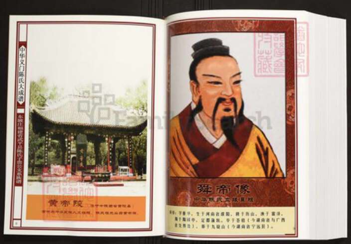 福建省龙岩市武平县陈氏族谱-中华义门陈氏大成谱东陂庄福建省武平县陈氏子贵公支系族谱.pdf电子版预览图5