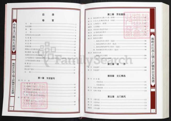 江西省上饶市陈氏族谱-中华义门陈氏大成谱株岭庄江西上饶上泸镇升公支系谱.pdf电子版预览图2