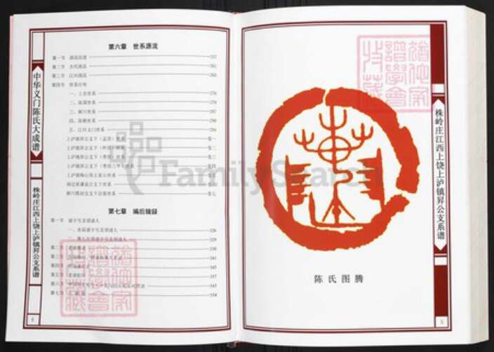 江西省上饶市陈氏族谱-中华义门陈氏大成谱株岭庄江西上饶上泸镇升公支系谱.pdf电子版预览图3