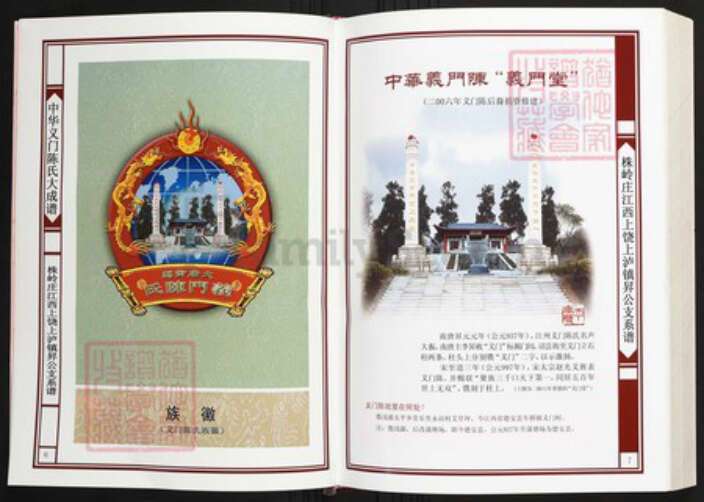 江西省上饶市陈氏族谱-中华义门陈氏大成谱株岭庄江西上饶上泸镇升公支系谱.pdf电子版预览图4