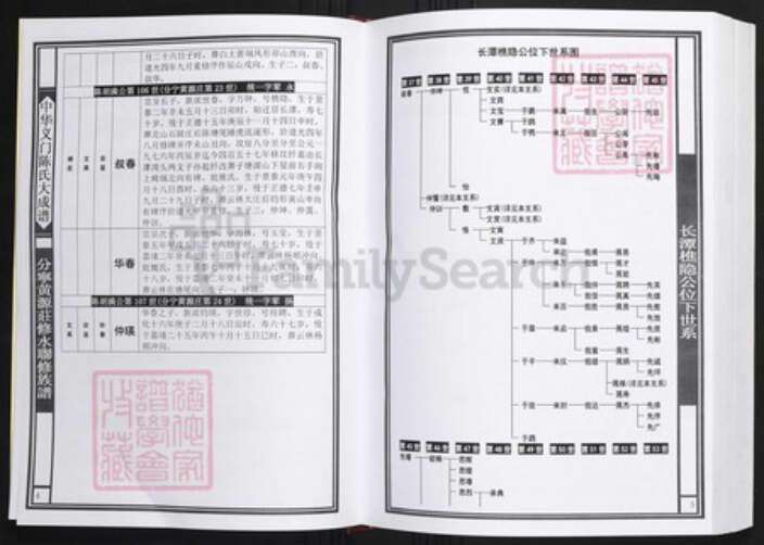 江西省九江市陈氏族谱-中华义门陈氏大成谱分宁黄源庄修水联修族谱.pdf电子版预览图4