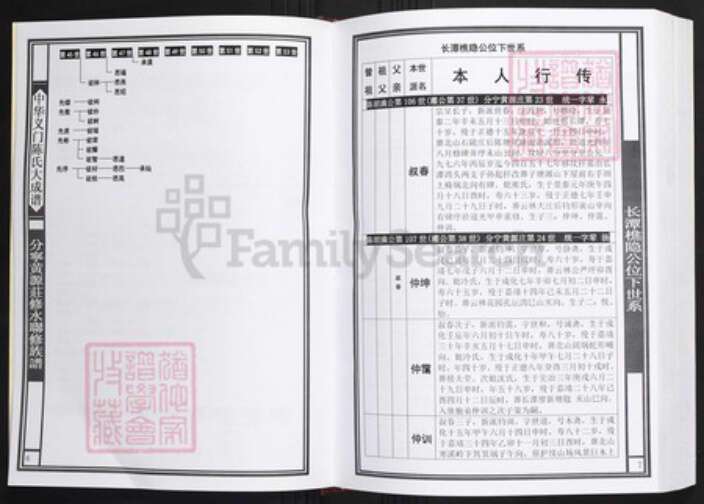 江西省九江市陈氏族谱-中华义门陈氏大成谱分宁黄源庄修水联修族谱.pdf电子版预览图5