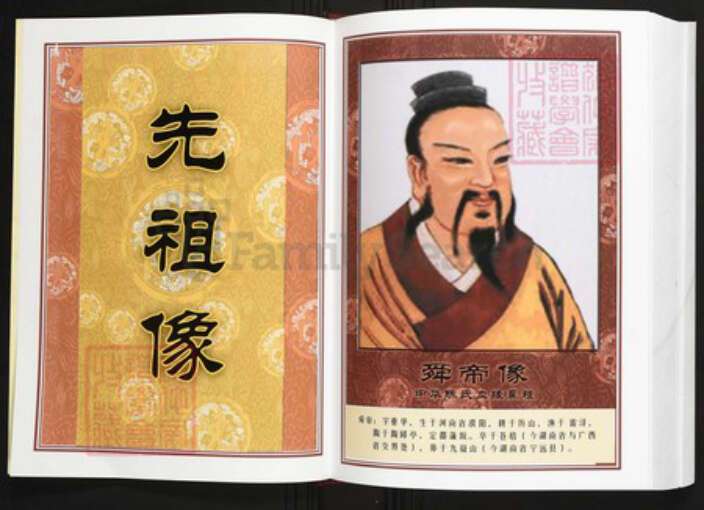 广东省汕头市普宁县陈氏族谱-中华义门陈氏大成谱太平庄支系梅林坂宗谱.pdf电子版预览图4