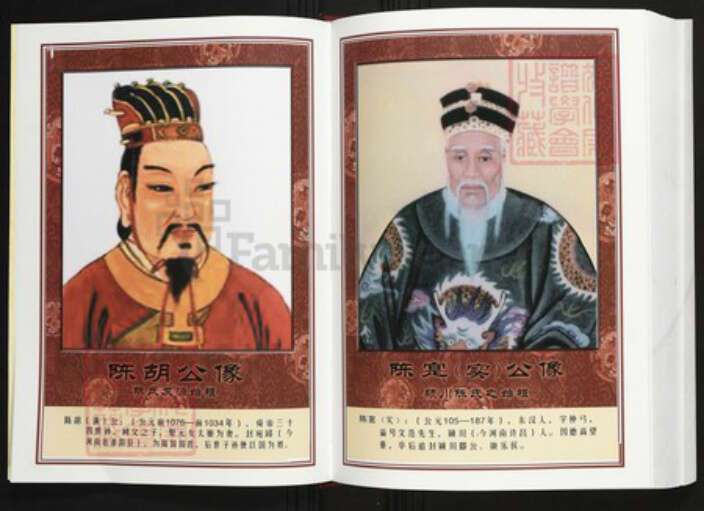 广东省汕头市普宁县陈氏族谱-中华义门陈氏大成谱太平庄支系梅林坂宗谱.pdf电子版预览图5