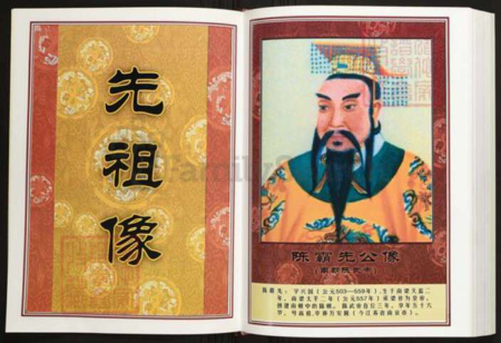 江西省赣州市寻乌县陈氏族谱-中华义门陈氏大成谱汀州庄寻乌留车十二郎公支系谱.pdf电子版预览图4