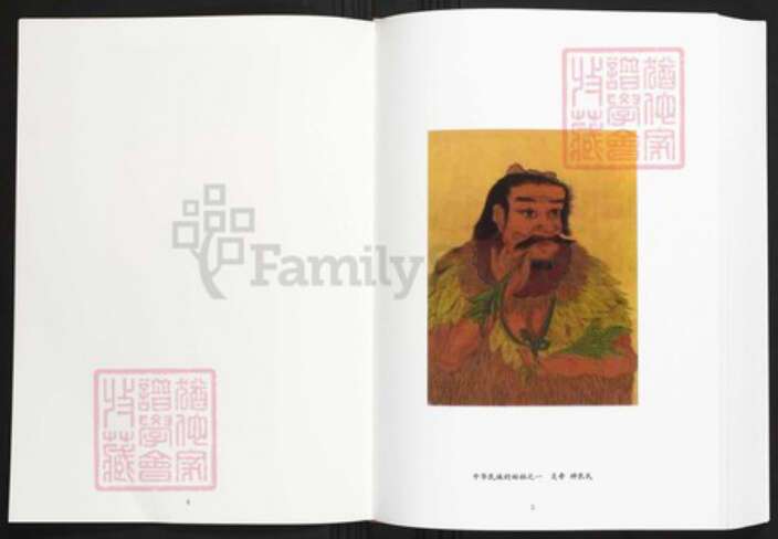 湖北省武汉市黄陂区陈氏族谱-安陆陈家沟陈氏宗谱.pdf电子版预览图4