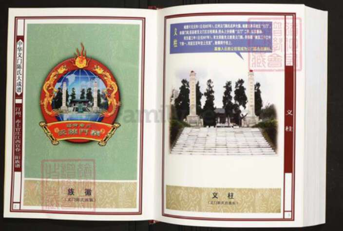 江西省宜春市陈氏族谱-中华义门陈氏大成谱汀州、赤土官庄江西宜春三阳族谱.pdf电子版预览图2