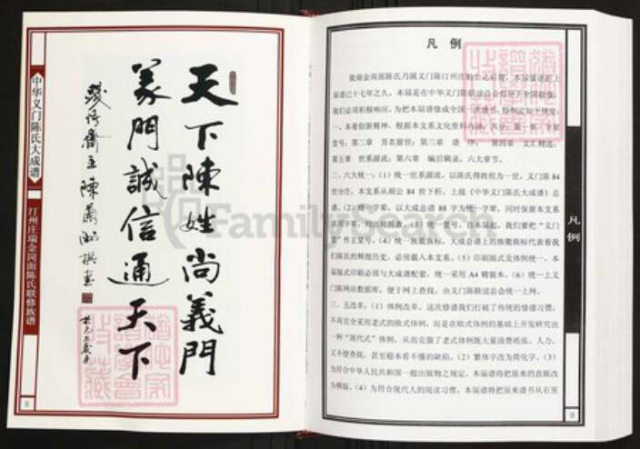 江西省赣州市瑞金市陈氏族谱-中华义门陈氏大成谱汀州庄瑞金岗面陈氏联修族谱.pdf电子版预览图5