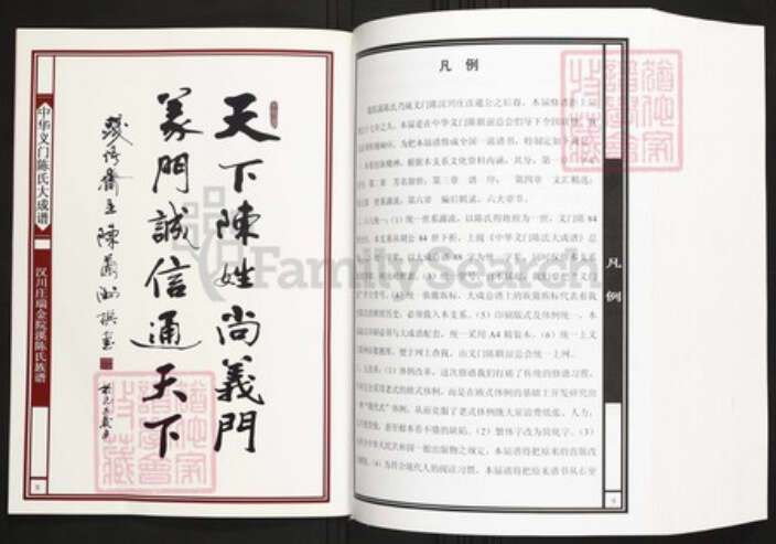 江西省赣州市瑞金市陈氏族谱-中华义门陈氏大成谱汉川庄瑞金院溪陈氏族谱.pdf电子版预览图5