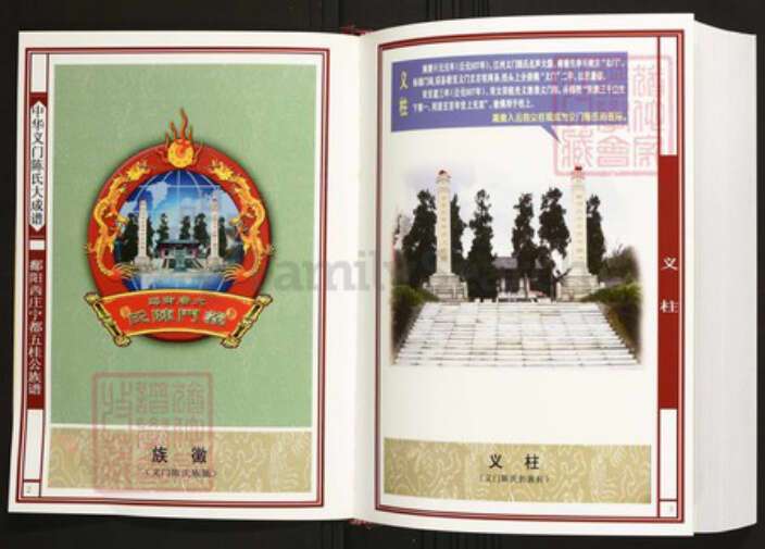 江西省赣州市宁都县陈氏族谱-中华义门陈氏大成谱鄱阳西庄宁都五桂公族谱.pdf电子版预览图2