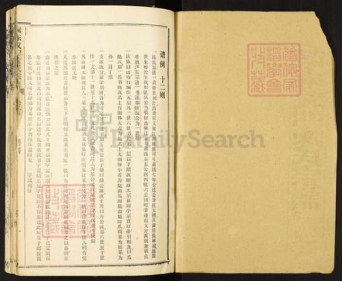 湖北省孝感市孝南区毛陈镇陈氏族谱-瀤东义门陈氏宗谱.pdf电子版预览图1