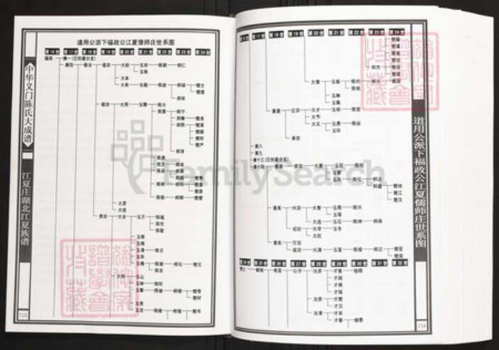 湖北省武汉市江夏区陈氏族谱-中华义门陈氏大成谱江夏庄湖北江夏族谱.pdf电子版预览图3