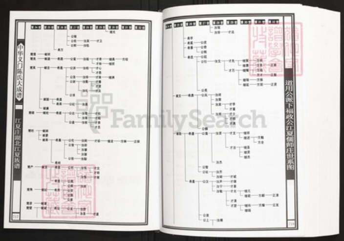 湖北省武汉市江夏区陈氏族谱-中华义门陈氏大成谱江夏庄湖北江夏族谱.pdf电子版预览图4