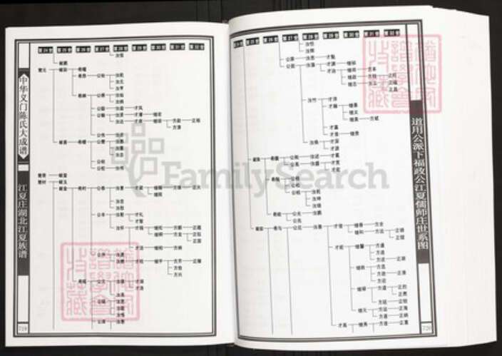 湖北省武汉市江夏区陈氏族谱-中华义门陈氏大成谱江夏庄湖北江夏族谱.pdf电子版预览图5