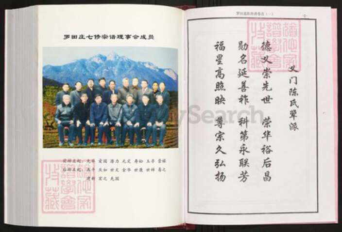 湖北省黄冈市罗田县陈氏族谱-罗田义陈族谱.pdf电子版预览图2