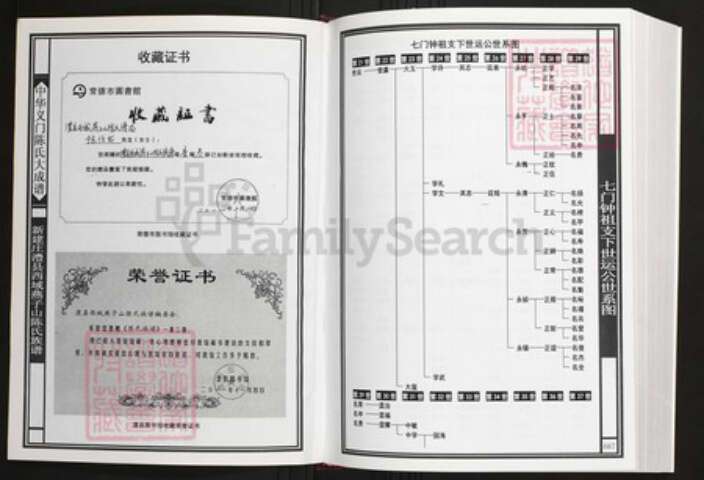 湖南省常德市澧县陈氏族谱-中华义门陈氏大成谱新建庄澧县西城燕子山陈氏族谱.pdf电子版预览图2