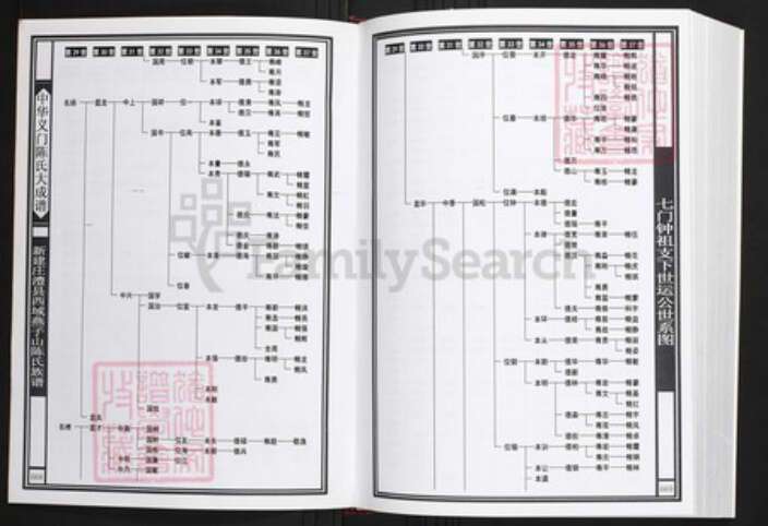 湖南省常德市澧县陈氏族谱-中华义门陈氏大成谱新建庄澧县西城燕子山陈氏族谱.pdf电子版预览图3