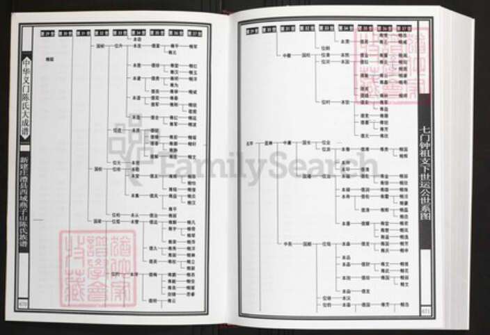 湖南省常德市澧县陈氏族谱-中华义门陈氏大成谱新建庄澧县西城燕子山陈氏族谱.pdf电子版预览图4