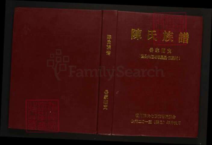湖南省常德市陈氏族谱-陈氏族谱·岳家湖支.pdf电子版缩略图