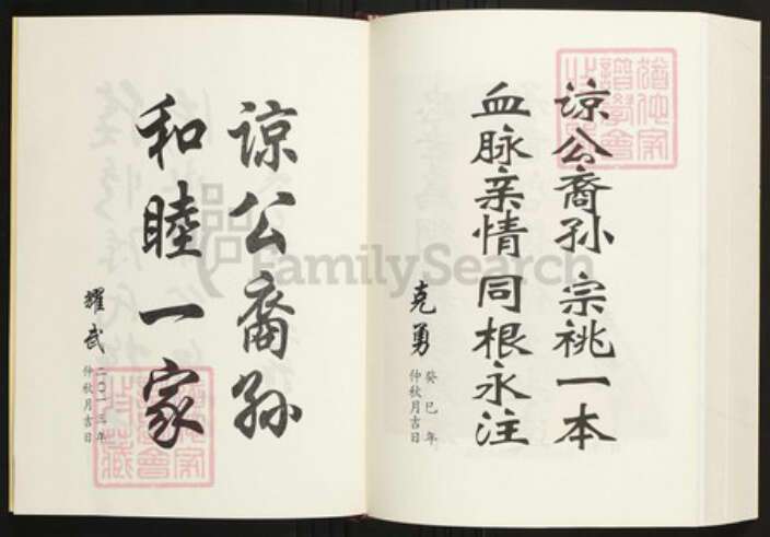 湖南省常德市陈氏族谱-陈氏族谱·岳家湖支.pdf电子版预览图1