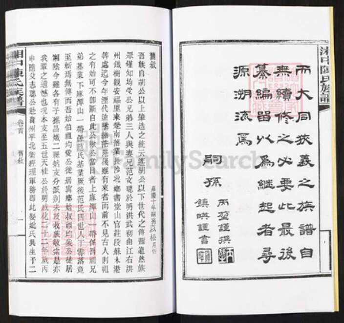 湖南省张家界陈氏族谱-湘中陈氏族谱.pdf电子版预览图5