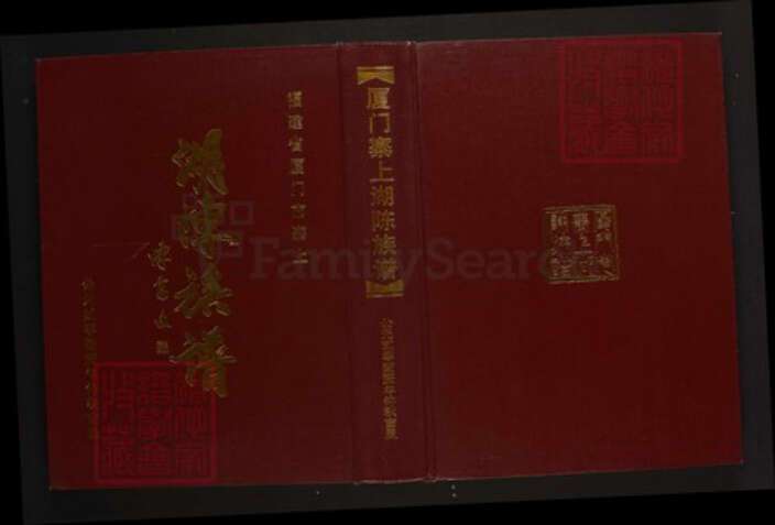 福建省厦门市陈氏族谱-厦门寨上湖陈族谱.pdf电子版缩略图