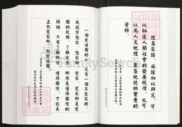 福建省厦门市陈氏族谱-厦门寨上湖陈族谱.pdf电子版预览图4