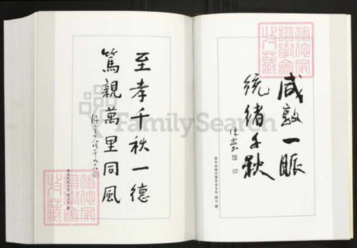 福建省厦门市陈氏族谱-厦门寨上湖陈族谱.pdf电子版预览图5