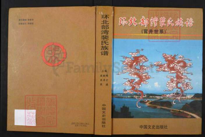 广西壮族自治区裴氏族谱-环北部湾裴氏族谱（官井世系）.pdf电子版缩略图