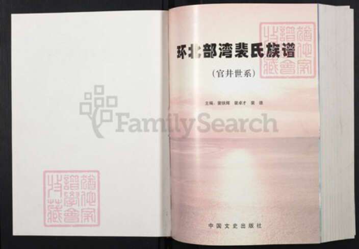 广西壮族自治区裴氏族谱-环北部湾裴氏族谱（官井世系）.pdf电子版预览图1