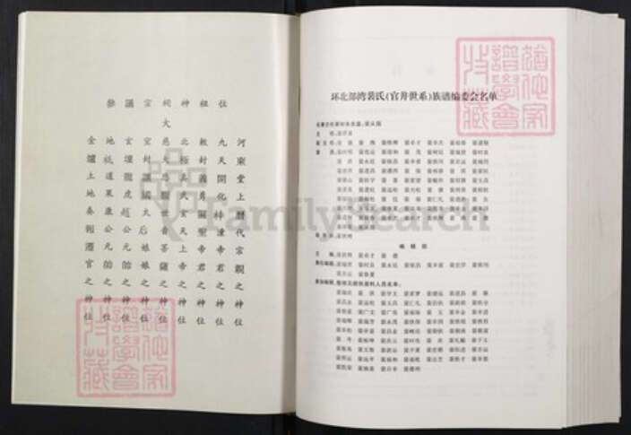 广西壮族自治区裴氏族谱-环北部湾裴氏族谱（官井世系）.pdf电子版预览图2