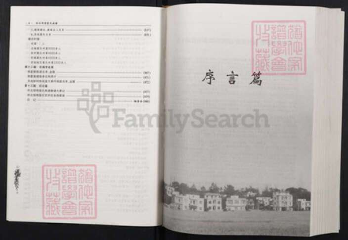 广西壮族自治区裴氏族谱-环北部湾裴氏族谱（官井世系）.pdf电子版预览图5