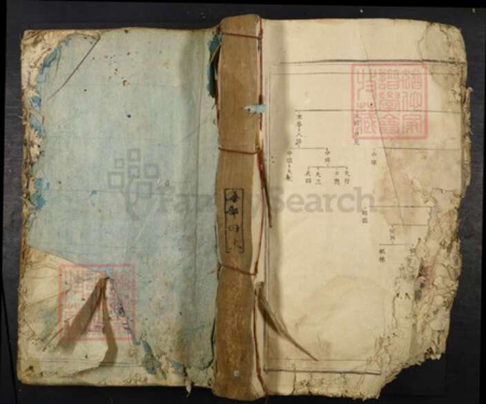 江西省吉安市吉水县施氏族谱-芳溪施氏十修族谱.pdf电子版缩略图